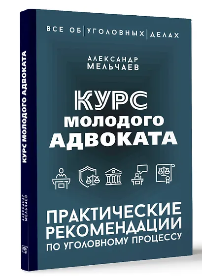 Курс молодого адвоката. Практические рекомендации по уголовному процессу - фото 3