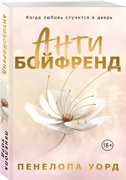 Антибойфренд - фото 3