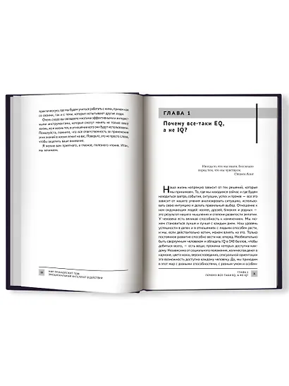 Мир принадлежит тебе: эмоциональный интеллект в действии - фото 8