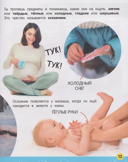 Моя большая книга о теле человека - фото 4