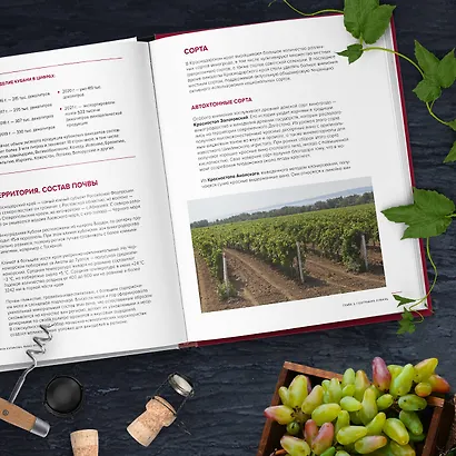 Вино России. История, география, выбор - фото 11