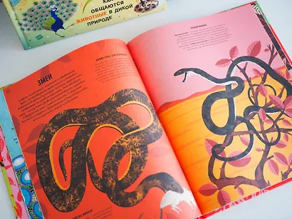 Ядовитые животные. Кто, зачем и как использует яды в дикой природе - фото 10