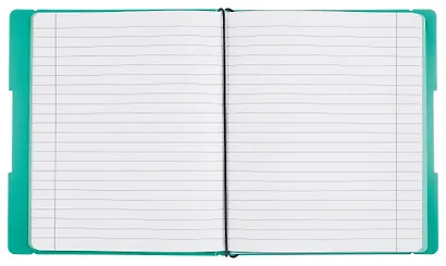 Тетрадь 96 листов, клетка/линейка, "DoubleBook. Еловый" - фото 3