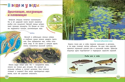 Современная энциклопедия дошкольника - фото 3