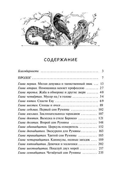 Девушка со спицами - фото 12