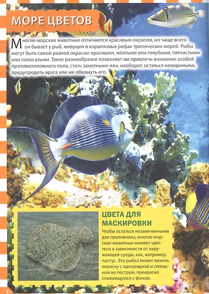 Морские обитатели - фото 2