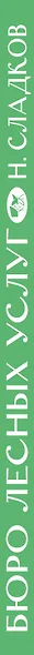 Бюро лесных услуг - фото 5