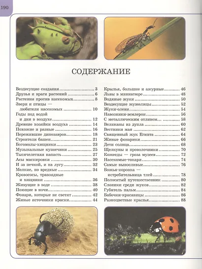 Насекомые - фото 2