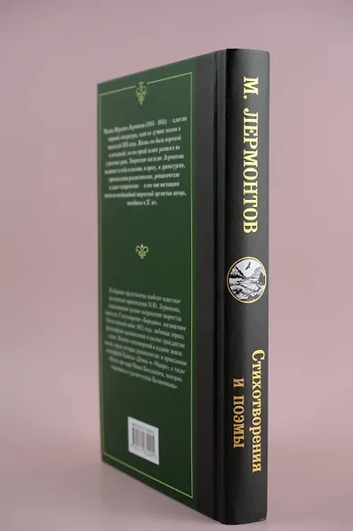 Стихотворения и поэмы - фото 7