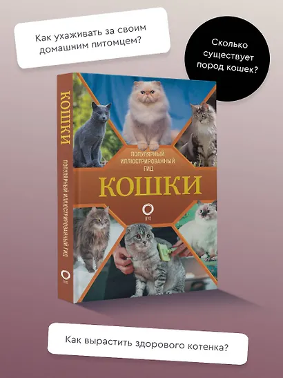 Кошки - фото 4