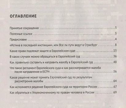 Как подать жалобу в Европейский суд по правам человека: практическое пособие - фото 2