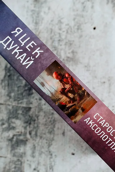 Старость аксолотля - фото 9