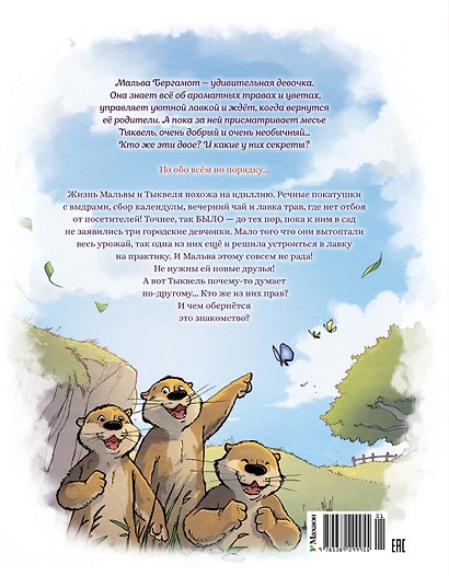 Мальва и Тыквель. Том 1. Случай в лавке травника - фото 2