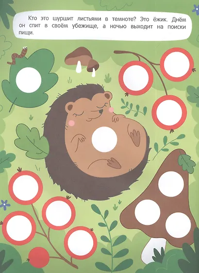 Лес: книжка с наклейками (96 наклеек) - фото 3