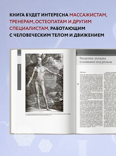 Анатомические поезда. 3-е издание - фото 6