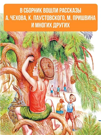 Рассказы о природе - фото 5