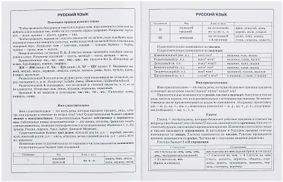 Дневник для младших классов, "Стильный кот" - фото 2