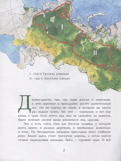 Тайга. Удивительный лес - фото 2