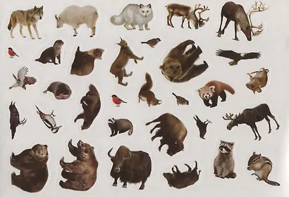 111 наклеек. Животные леса - фото 5