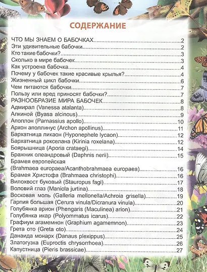 Бабочки. Энциклопедия - фото 2