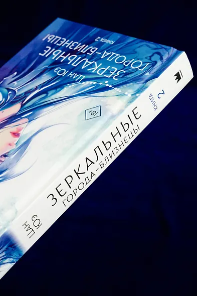Зеркальные города-близнецы. Книга 2 - фото 7