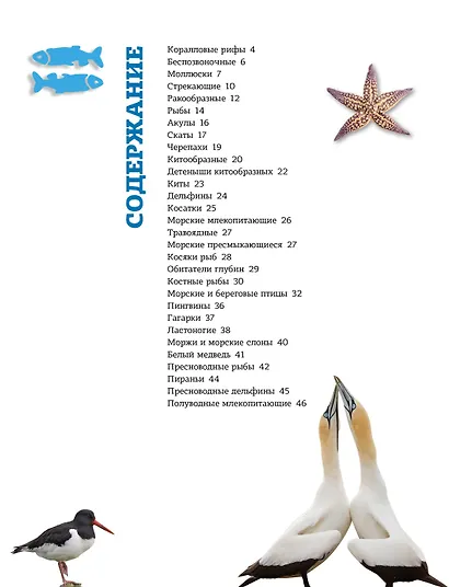 Подводный мир - фото 10