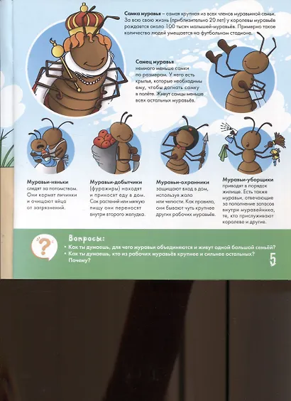 Муравей - удивительное творение Аллаха - фото 4