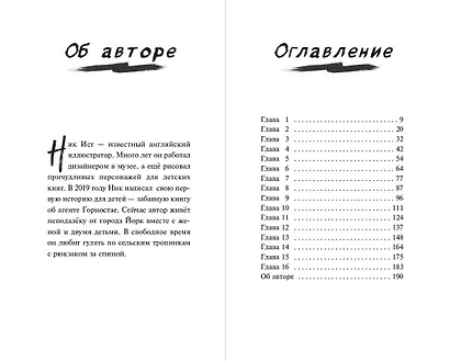 Тайна незнакомца в шляпе - фото 9