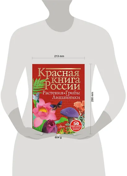 Красная книга России. Растения. Грибы. Лишайники - фото 7
