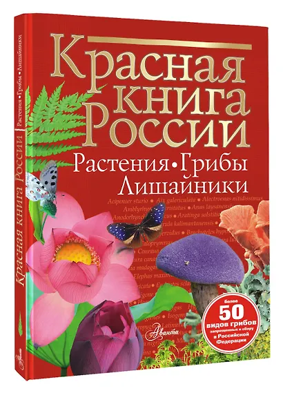 Красная книга России. Растения. Грибы. Лишайники - фото 3