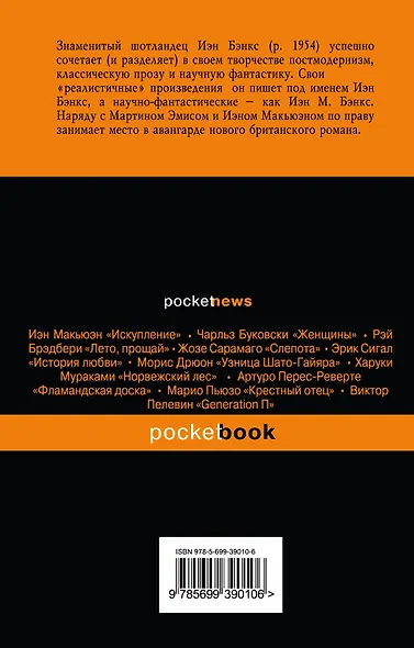 Осиная Фабрика : роман - фото 2