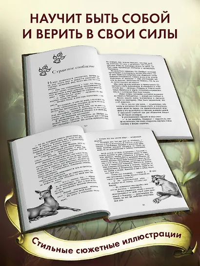 Дети леса. Секрет сфинкса (#5) - фото 6