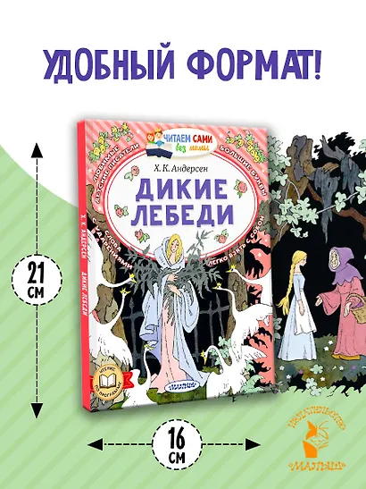 Дикие лебеди - фото 7
