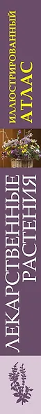 Лекарственные растения: иллюстрированный атлас - фото 4