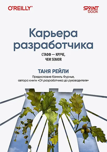 Карьера разработчика. Стафф - круче, чем senior - фото 1