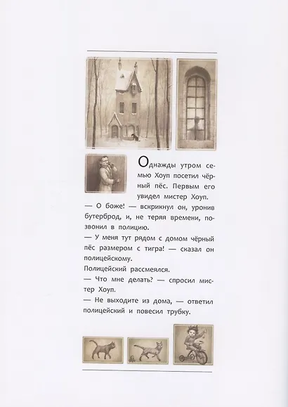 Черный Пес - фото 2