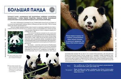 Красная книга мира. Животные - фото 6