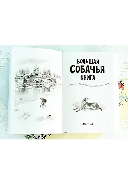 Большая собачья книга - фото 4