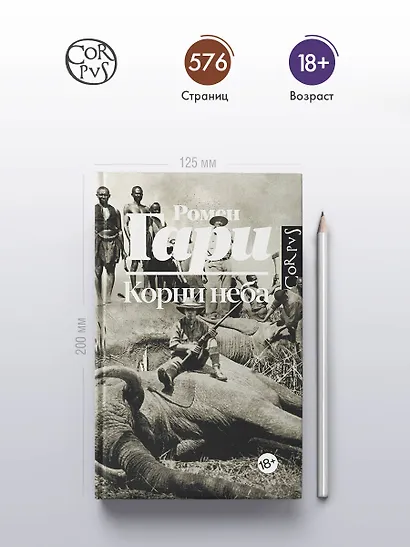 Корни неба - фото 4