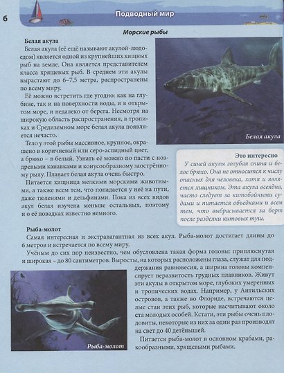 Подводный мир. Энциклопедия - фото 5