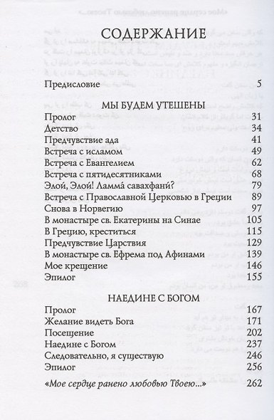 Мы будем утешены. Наедине с Богом: Исход от ислама к Православию - фото 2