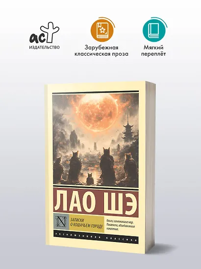 Записки о Кошачьем городе - фото 3