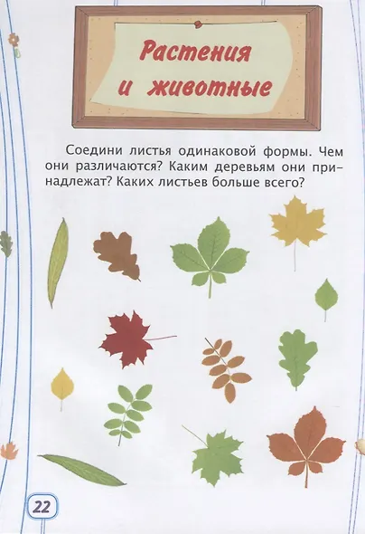 Логика. Окружающий мир. Детям от 6 лет - фото 4