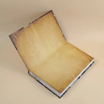 Повелитель тайн. Книга 1 - фото 12