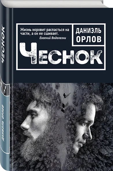 Чеснок - фото 3