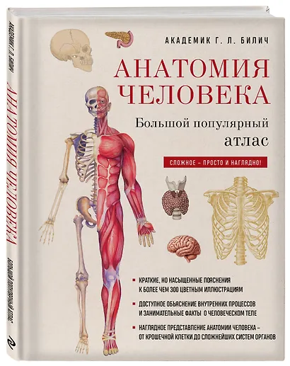 Анатомия человека: большой популярный атлас (новое оформление) - фото 3