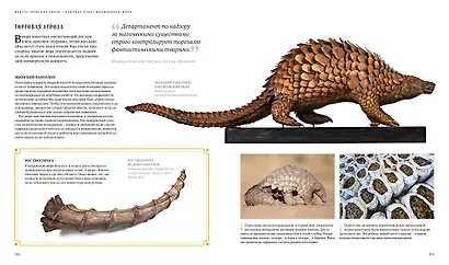 Фантастические твари. Природа чудес волшебного мира - фото 3