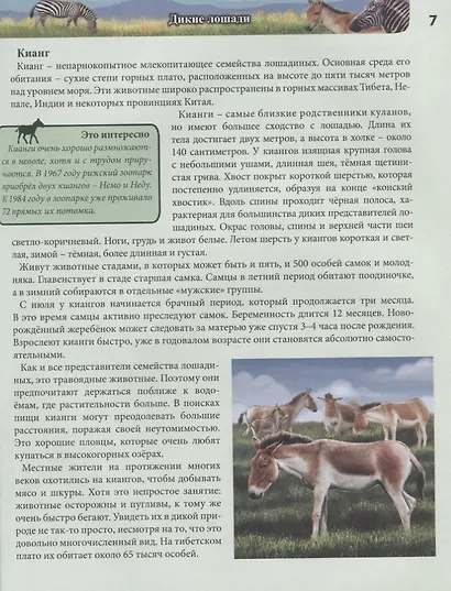 Лошади. Энциклопедия - фото 3