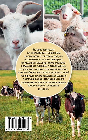 Козы. Овцы. Коровы - фото 2