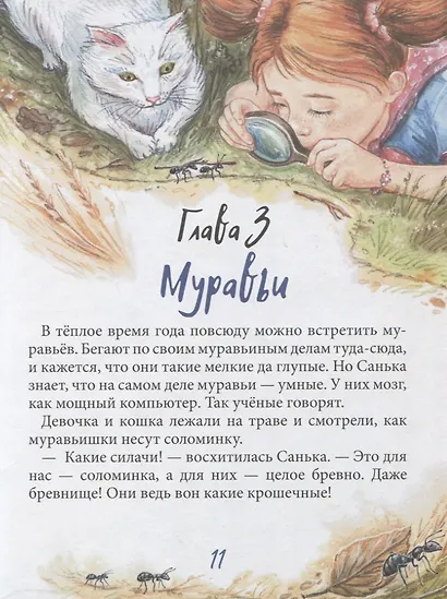 Санька и Сонька - фото 7